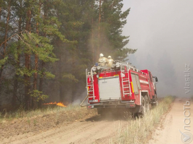 Технику для тушения пожаров заранее передислоцируют в лесные массивы Костанайской области