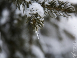 Снег и метель ожидается в Казахстане 18 марта
