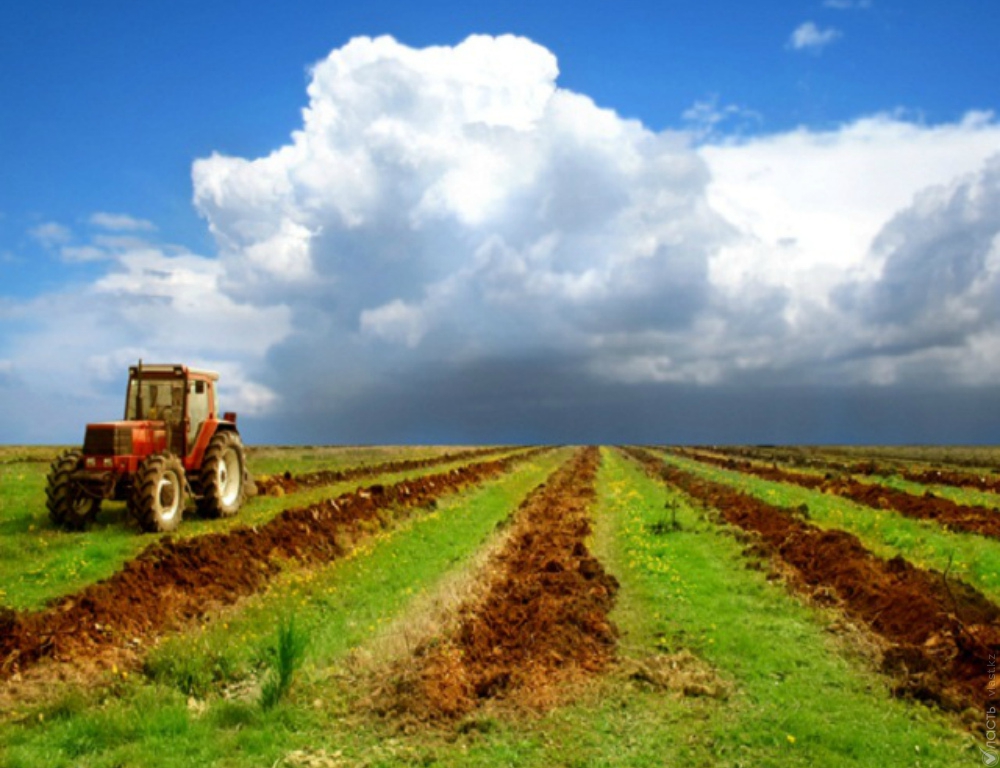 Правительство намерено вовлечь сельхозземли в рыночный оборот