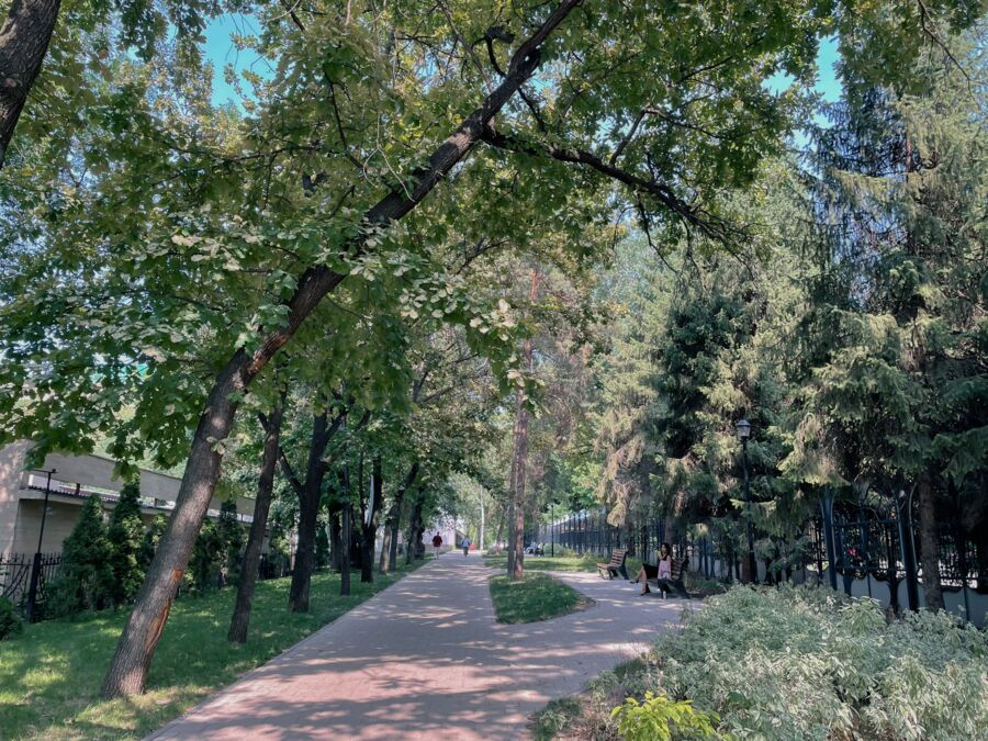 К 2025 году территорию парков Алматы планируют расширить на 180 гектаров 