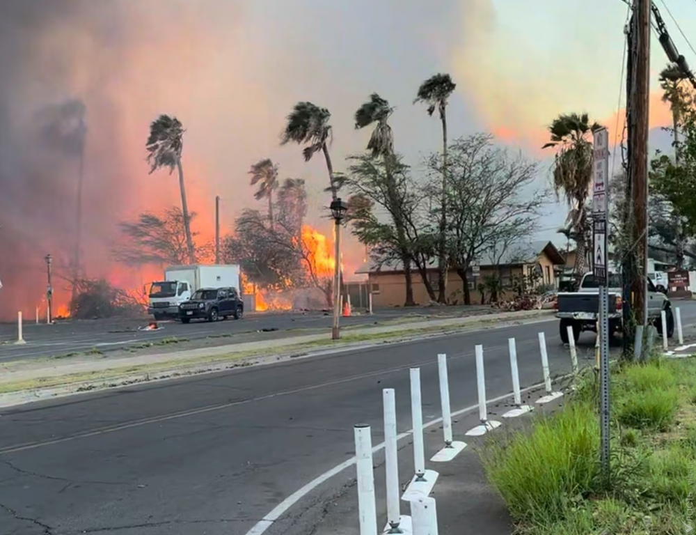 Жертвами лесных пожаров на Гавайях стали шесть человек