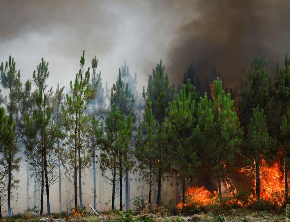 Тысячи гектаров леса уничтожено огнем на юго-западе Франции