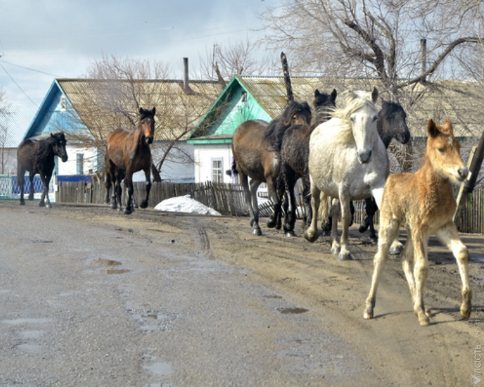 В Казахстане восстановлено 77 участков автомобильных дорог – КЧС 