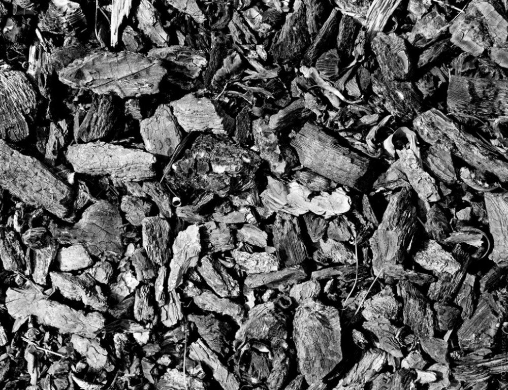 Росту цен на уголь способствует спекулятивная накрутка посредников - Минэнерго