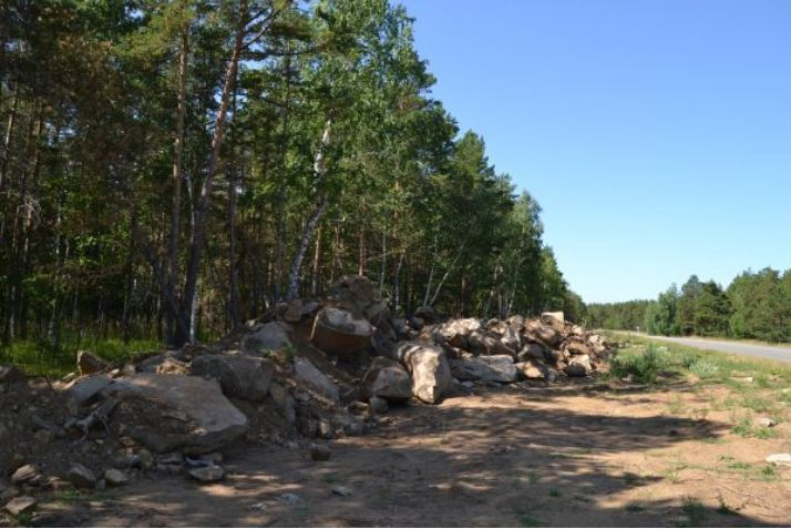 В Минэкологии заявили, что вырубка деревьев в Боровом была согласована