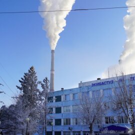 Активисты выдают за трагедию «небольшой перерыв» в теплоснабжении и сеют панику, считает Токаев