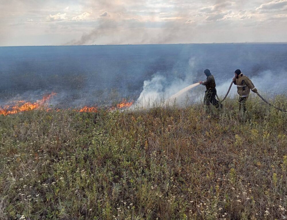 В лесничестве «Ертыс-Орманы» Павлодарской области снова тушат пожар