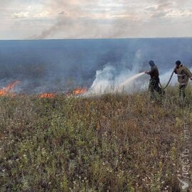 В лесничестве «Ертыс-Орманы» Павлодарской области снова тушат пожар