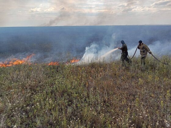 В лесничестве «Ертыс-Орманы» Павлодарской области снова тушат пожар