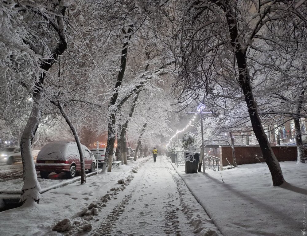 В Алматы выпало 15 см снега