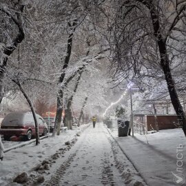 В Алматы выпало 15 см снега