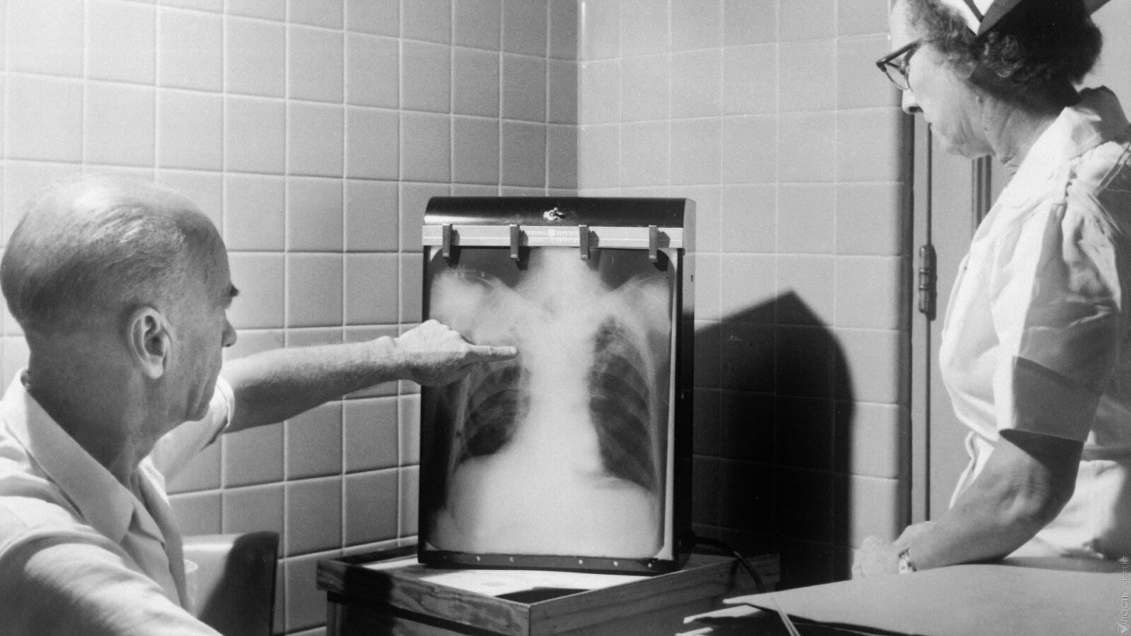 Почему привитые люди тоже болеют туберкулёзом