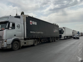Время досмотра автотранспорта на казахстанской границе планируют сократить до 20 минут 