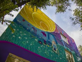 Стены алматинской школы стали объектом уличного искусства 