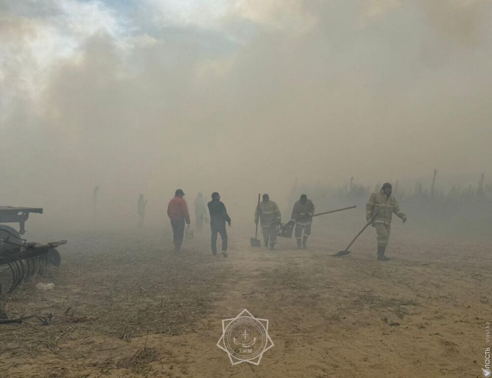 В Жамбылской области тушат пожар в Сарыкобинском лесничестве