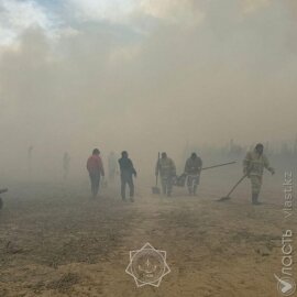 В Жамбылской области тушат пожар в Сарыкобинском лесничестве