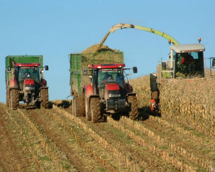 Закон «О сельскохозяйственной кооперации» МСХ внесет в парламент к концу года