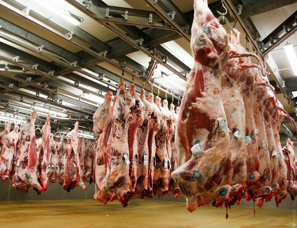 Строительство мясоперерабатывающего комплекса в Казахстане начнется в 2020 году – МСХ