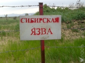 После 12 июля будет приниматься решение о снятии карантина по сибирской язве в Карагандинской области - аким