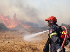 Тысячи людей покинули свои дома в пригородах Афин из-за пожара