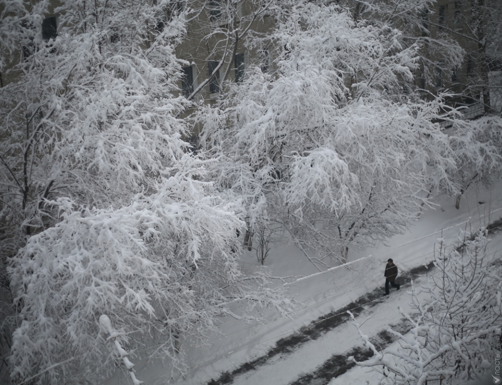 Снег, метель, туман и гололед ожидаются на большей части Казахстана 