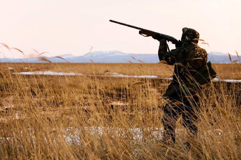Трофейную охоту будут развивать в Казахстане