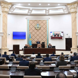 Критика власти является неотъемлемой частью гражданского общества – Токаев