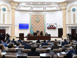 Критика власти является неотъемлемой частью гражданского общества – Токаев