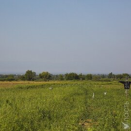 В Акмолинской области вернули государству более 30 тыс. га неиспользуемых сельхозземель