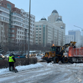 В Астане учащихся начальных классов второй смены перевели на дистанционное обучение из-за метели