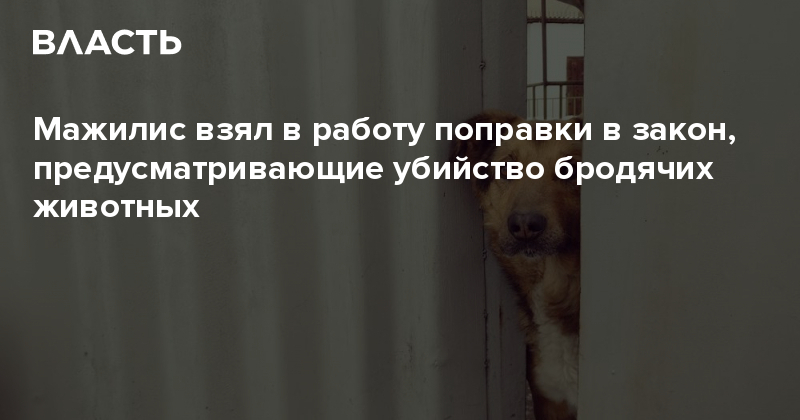На поправку работа