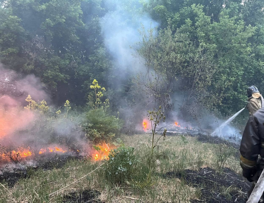 В МЧС опасаются дальнейшего распространения огня в резервате «Семей орманы» из-за жары и ветра
