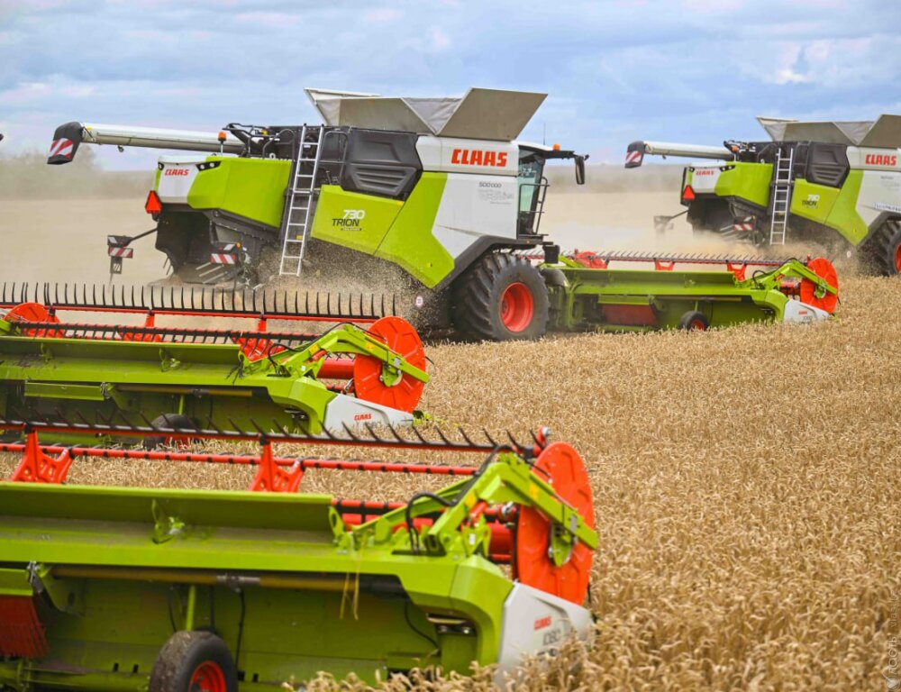 25,9 млн тонн зерна намолочено в Казахстане