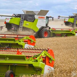 25,9 млн тонн зерна намолочено в Казахстане