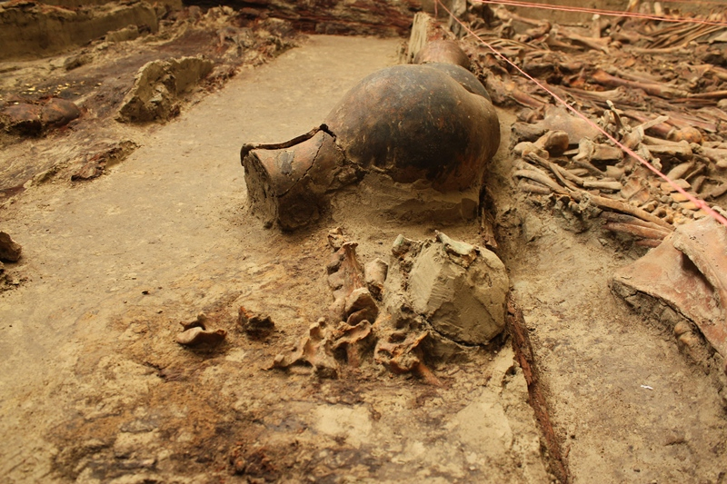 Минкультуры намерено упорядочить археологические работы в Казахстане