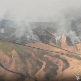 Пожар в горах Жамбылской области ликвидирован