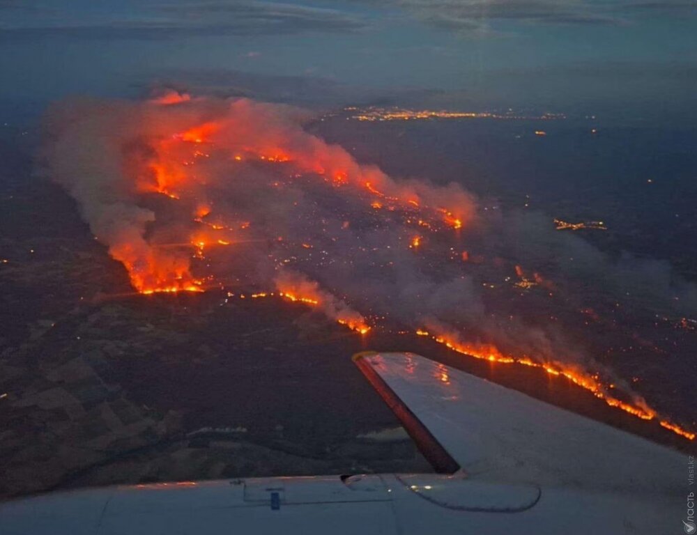 Тысячи людей эвакуированы из-за природного пожара на юге Франции