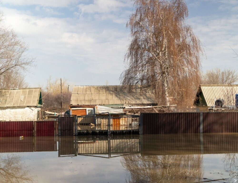 Более 10,2 тыс. голов скота погибло во время паводков в Казахстане