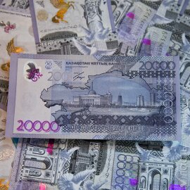 В Акмолинской области пресечена деятельность ОПГ, оформившей кредиты на 450 человек
