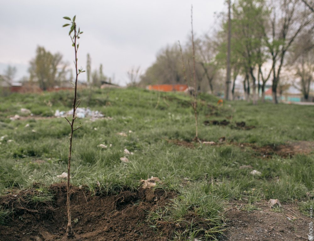 В Туркестанской области землю в предгорных зонах незаконно выделяли под строительство элитных дач