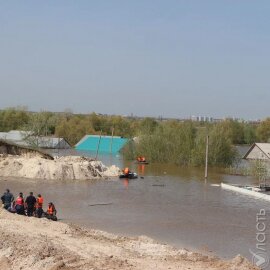 4 тыс. га озимых культур затопило в Западно-Казахстанской области – Минсельхоз