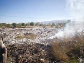 Китайские инвесторы вложат почти 300 млрд тенге в строительство трех мусоросжигающих заводов в Казахстане – Минэкологии