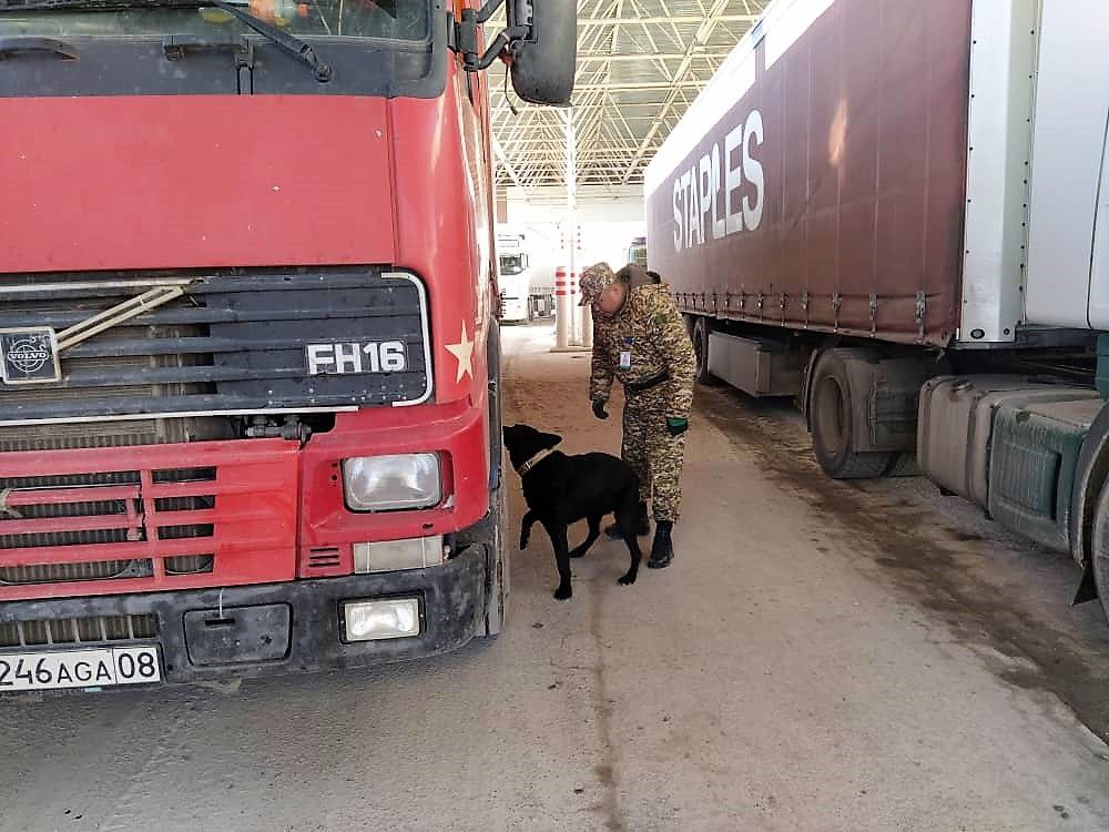 На кыргызско-казахстанской границе скопились более сотни грузовых автомобилей