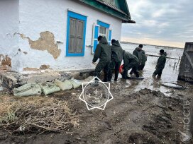 22 млн тенге предусмотрено на строительство одного дома для пострадавших от паводков – Минпром