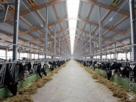 Акимат Алматинской области задолжал 9,8 млрд тенге субсидий предпринимателям 