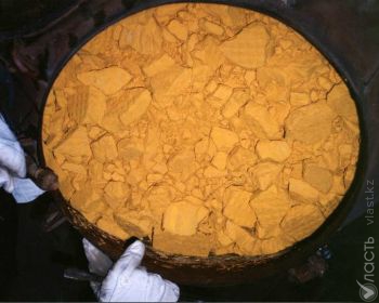 Доля казахстанского урана в общемировой добыче составила 35%