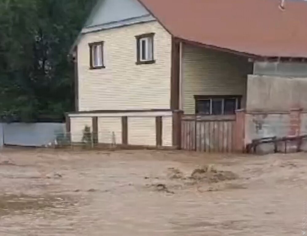 
В селе Алматинской области из-за сильных дождей грязевым потоком затопило дома и дворы