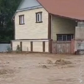 В селе Алматинской области из-за сильных дождей грязевым потоком затопило дома и дворы