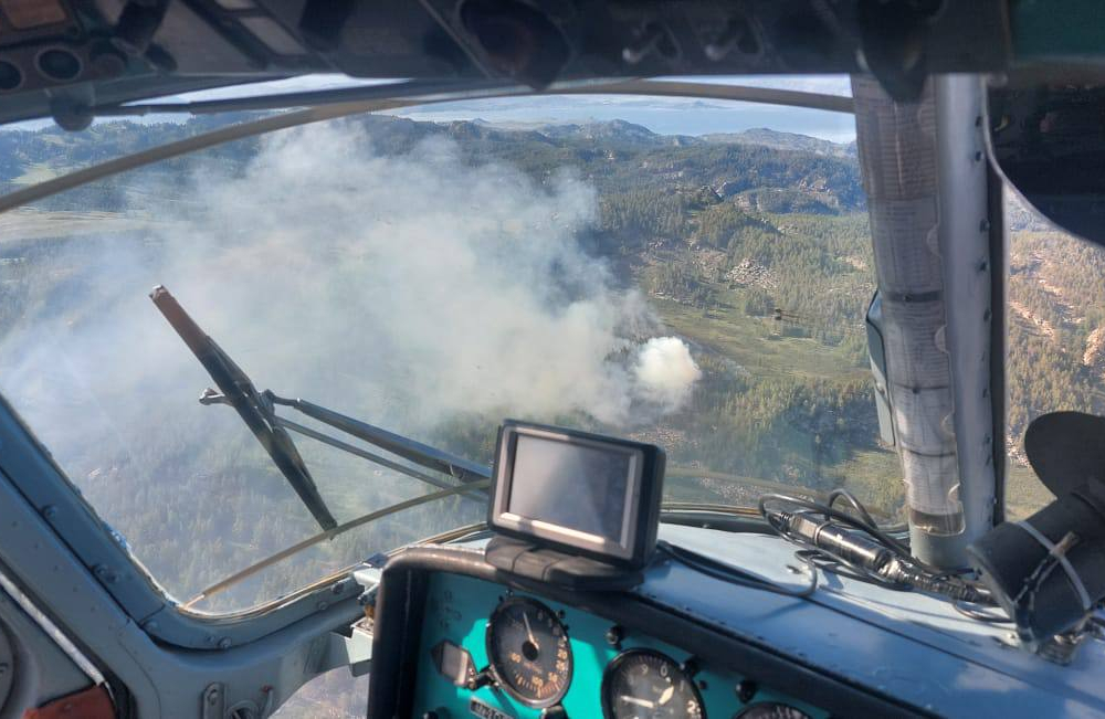 В Восточно-Казахстанской области тушат пожар на территории Приморского лесничества