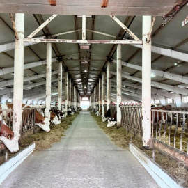 В 2026 году в Казахстане увеличат объем субсидий для животноводства